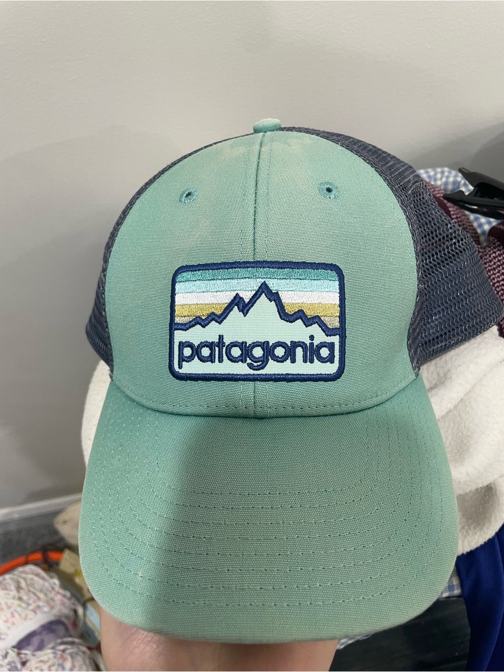 Patagonia Trucker Hat